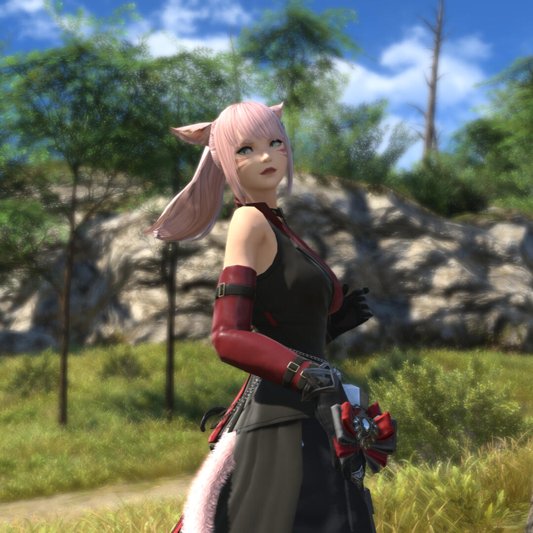 Looking back for those we lost, for those we can yet save...